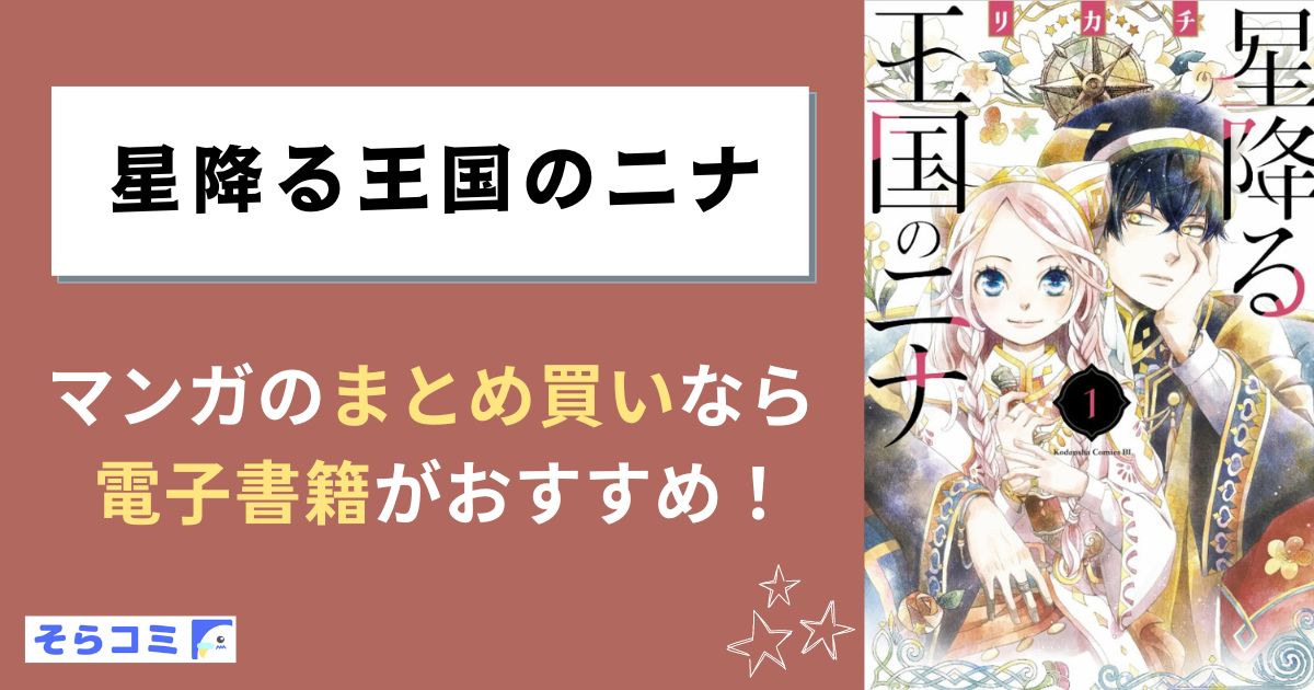 星降る王国のニナ