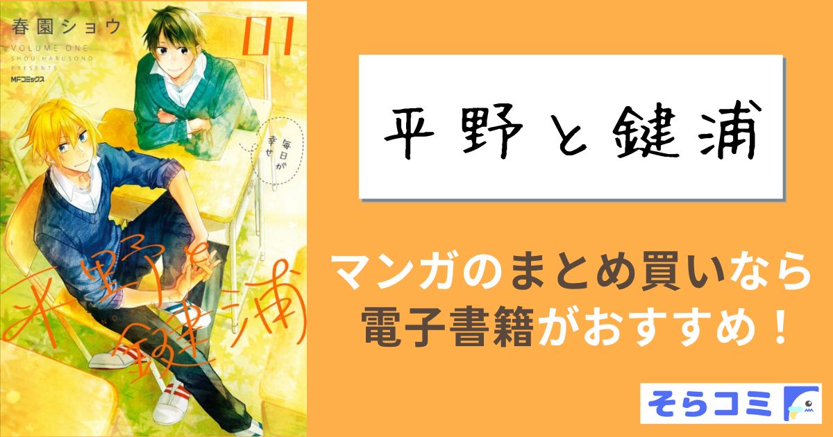 平野と鍵浦