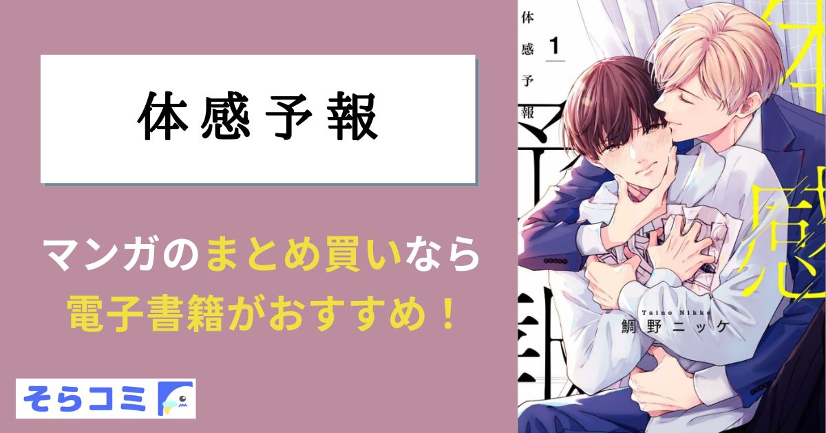 体感予報