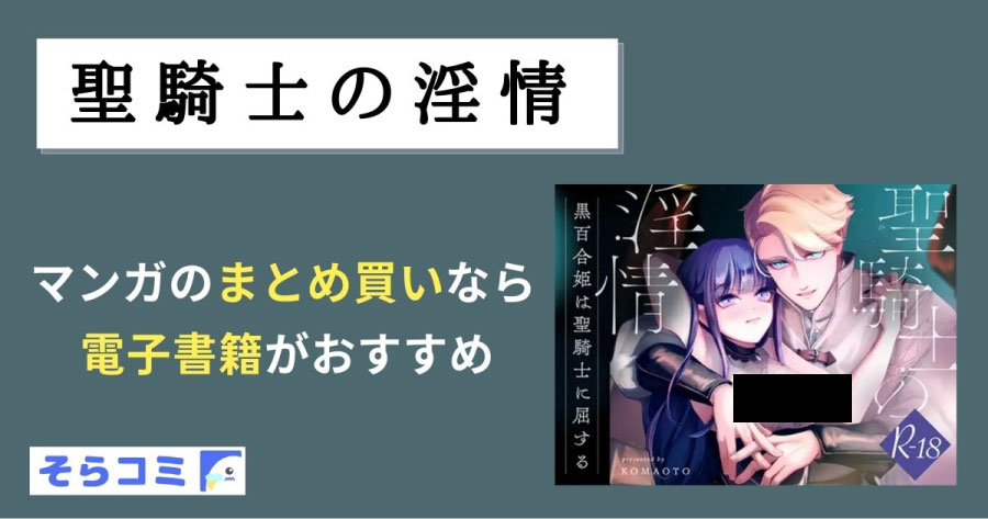 聖騎士の淫情のアイキャッチ